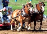Allender and Mcintire